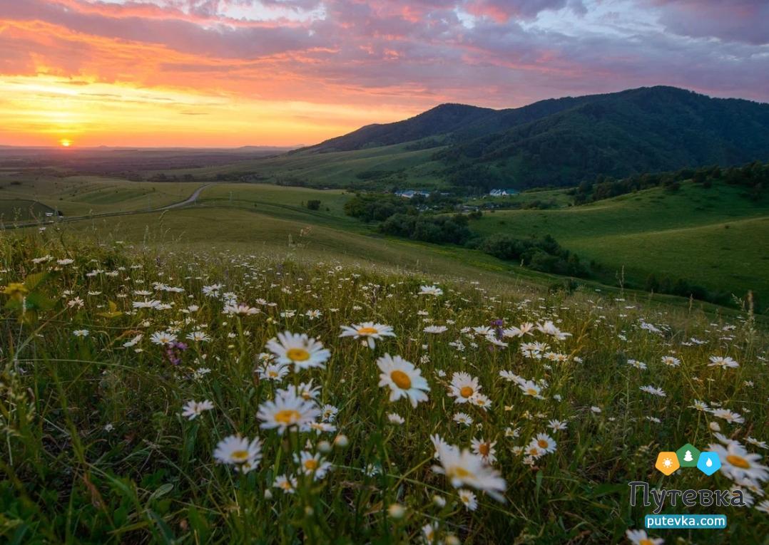 Лечебно-оздоровительный комплекс Долина Алтая , фото 12