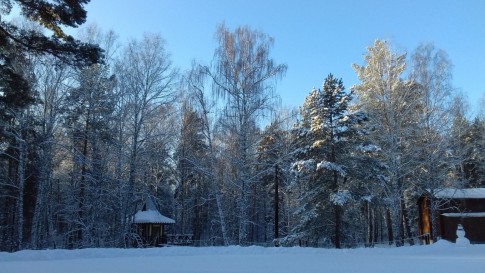 Фото 3 к комментарию от пользователя Анастасия, 09.12.2020