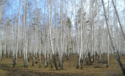 Фото 2 к комментарию от пользователя любознатик, 10.12.2020