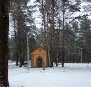 Фото 1 к комментарию от пользователя Marina Koteika, 14.12.2020