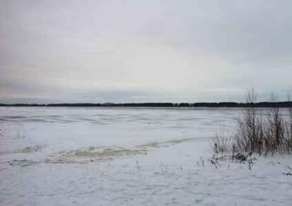 Фото 6 к комментарию от пользователя Marina Koteika, 14.12.2020