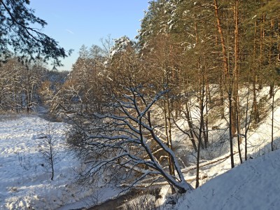 Фото 7 к комментарию от пользователя Андрей Тихомиров, 21.01.2021