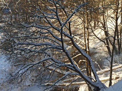 Фото 9 к комментарию от пользователя Андрей Тихомиров, 21.01.2021