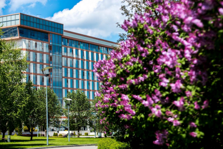 Сезон заботы, фото