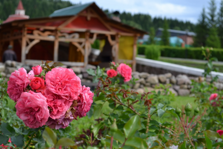 День в подарок, фото