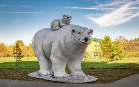 Лечение в подарок, фото