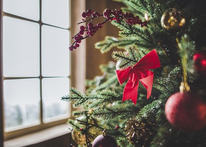 Новый год в «AMRA PARK-HOTEL & SPA», фото