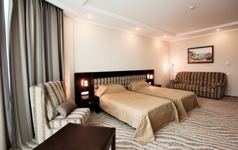 Superior Twin 2-местный вид на город, фото 1