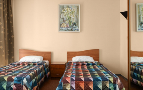 Эконом 2-местный TWN вид на дорогу, фото 1