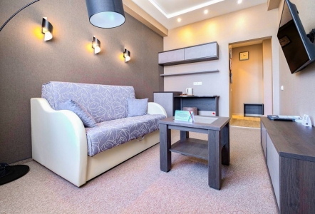 Люкс 1-местный 2-комнатный, фото 7