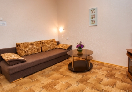 Люкс 2-местный 2-комнатный, фото 3