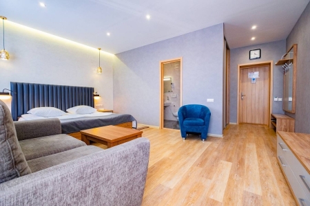 Джуниор сюит 1-местный 1 комнатный, фото 2