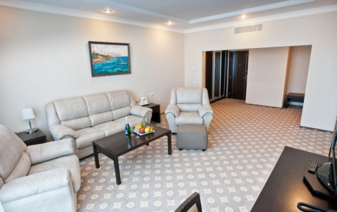 Suite Premier 2-местный вид на город, фото 4