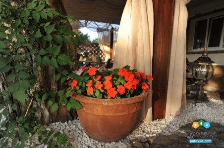 Отель Максимус, фото - 13