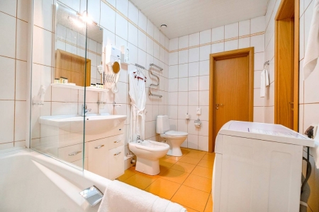 Апартаменты 1-местный 2 комнатный, фото 8