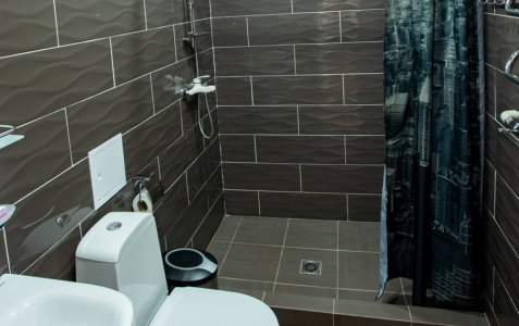 Комфорт 3-местный 1-комнатный (с ремонтом), фото 6