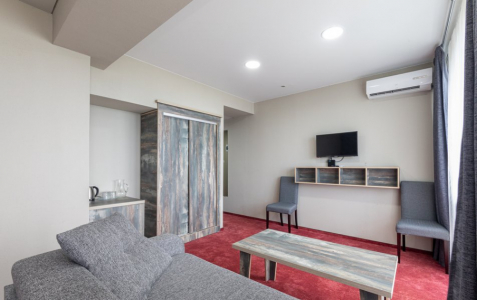 Студия комфорт 2-местный 1-комнатный, фото 3