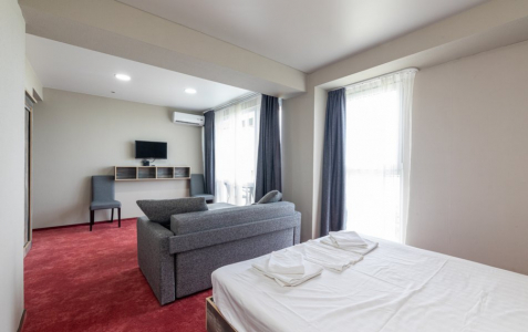 Студия комфорт 2-местный 1-комнатный, фото 4