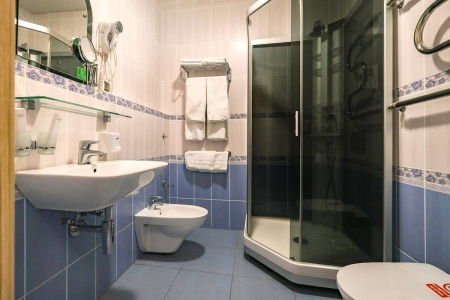 Престиж Плюс Семейный Дабл 2-местный , фото 4