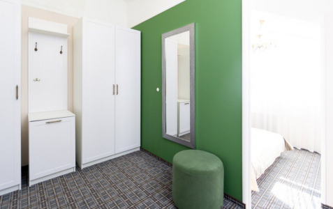 Повышенной комфортности 1-местный Аметист (303,203), Яшма 102, фото 4