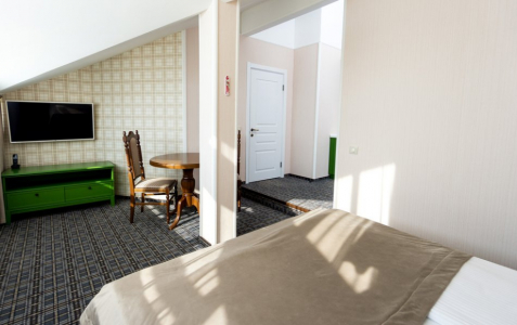 Повышенной комфортности 1-местный Аметист (303,203), Яшма 102, фото 1