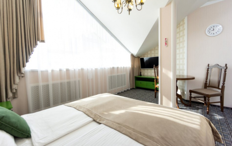 Повышенной комфортности 1-местный Аметист (303,203), Яшма 102, фото 2