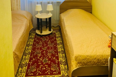 Стандарт 2-местный 1 категории Твин (гл. корпус, 2 корпус), фото 6