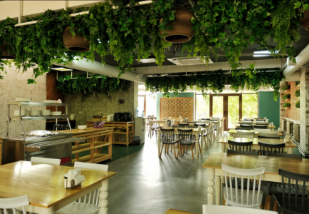 Санаторий Энергетик, фото - 14