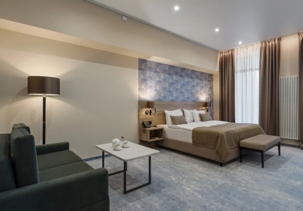 Делюкс 2-местный  Комфорт Дабл, фото 4