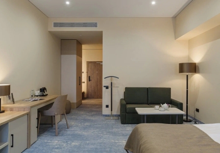 Делюкс 2-местный  Комфорт Дабл, фото 2