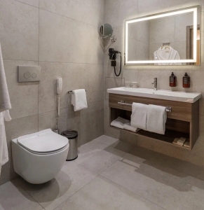 Делюкс 2-местный  Комфорт Дабл, фото 3