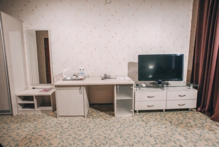 Люкс 2-местный (сад), фото 3