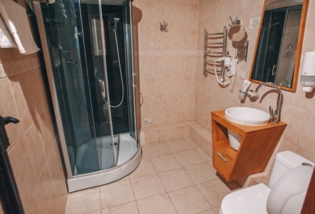 Люкс 2-местный (сад), фото 4