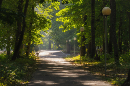 Санаторий Им. Ф. Э. Дзержинского, фото - 10