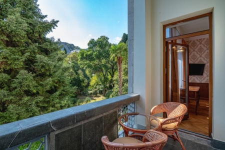 Люкс улучшенный 2-местный 2-комнатный вид на парк, фото 8