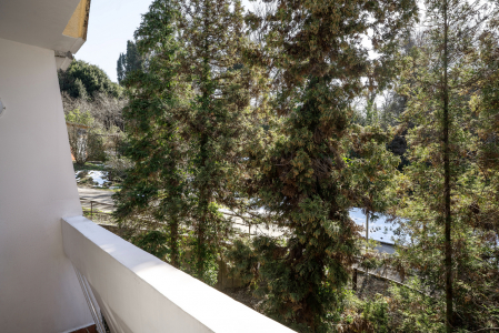 Стандарт 1-местный, фото 3