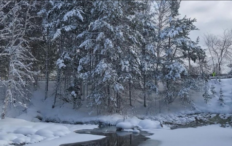 Санаторий Горячинск, фото - 4