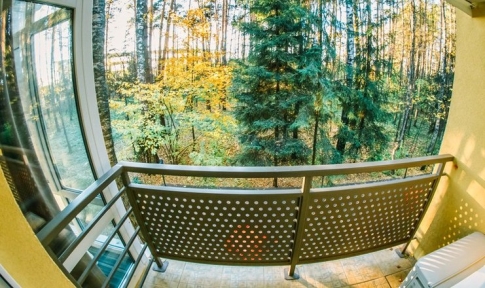 Делюкс 2-мест.1-комн.с балконом к.№2 Лесной, фото 3