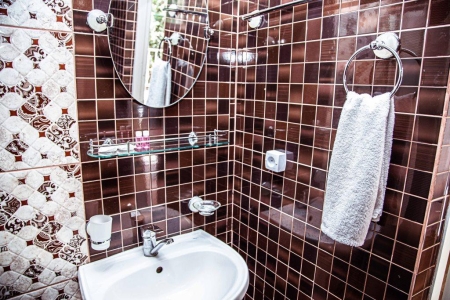 Полулюкс 2-местный 1комнатный (коттедж Студия), фото 3