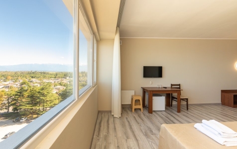 Комфорт 2-местный 1-комнатный , фото 4