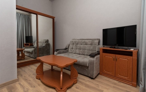 Стандарт 3-местный улучшенный с одной кроватью + диван, фото 5