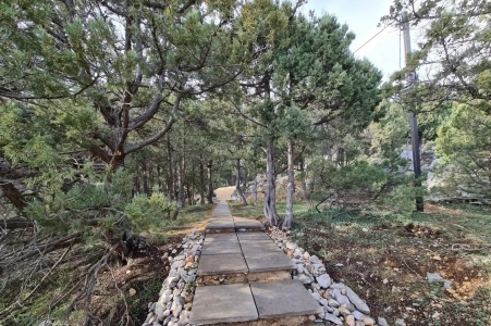 Шале 2-местный 1-комнатный, фото 7