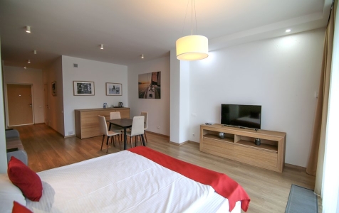 Супериор 2-местный 1-комнатный с лоджией, фото 3