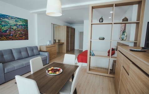 Супериор 2-местный 1-комнатный с выходом к бассейну, фото 2