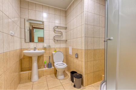 Мансарда 3-местный 1-комнатный без балкона, фото 4