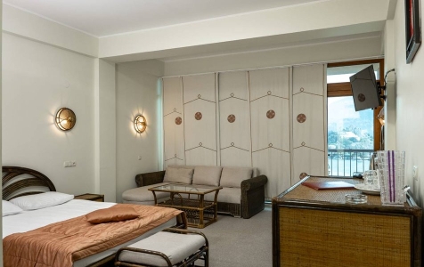 Премиум 2-местный 1-комнатный, фото 3