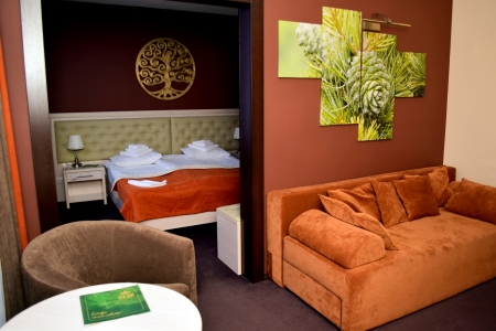 Высшая категория Джуниор Сюит 2-местный 2-комнатный, фото 6