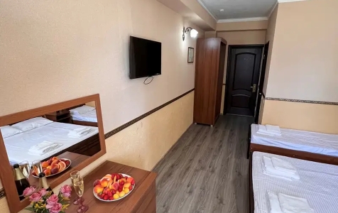 Стандарт 4-местный с видом на басейн, фото 2