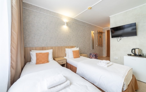 Стандарт 2-местный ТВИН, фото 3