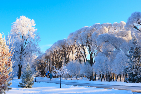 Санаторий Ключи, фото - 8